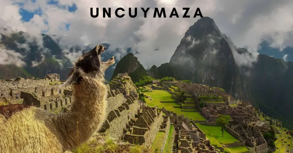 uncuymaza