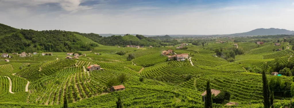 Prosecco